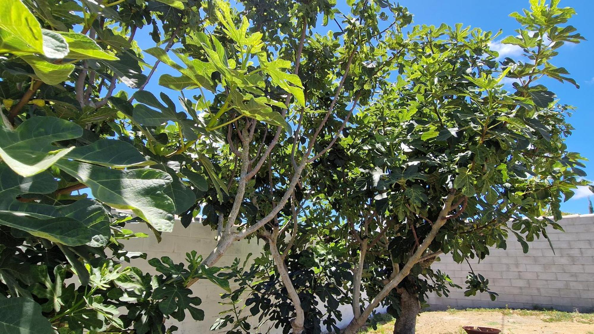 Casa Vacacional En Chiclana De La Frontera Villa Luaran gambar